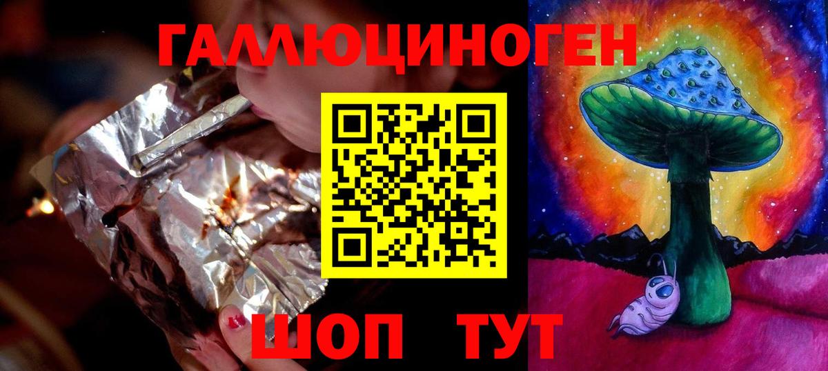 Галлюциногенные грибы Psilocybe Вичуга